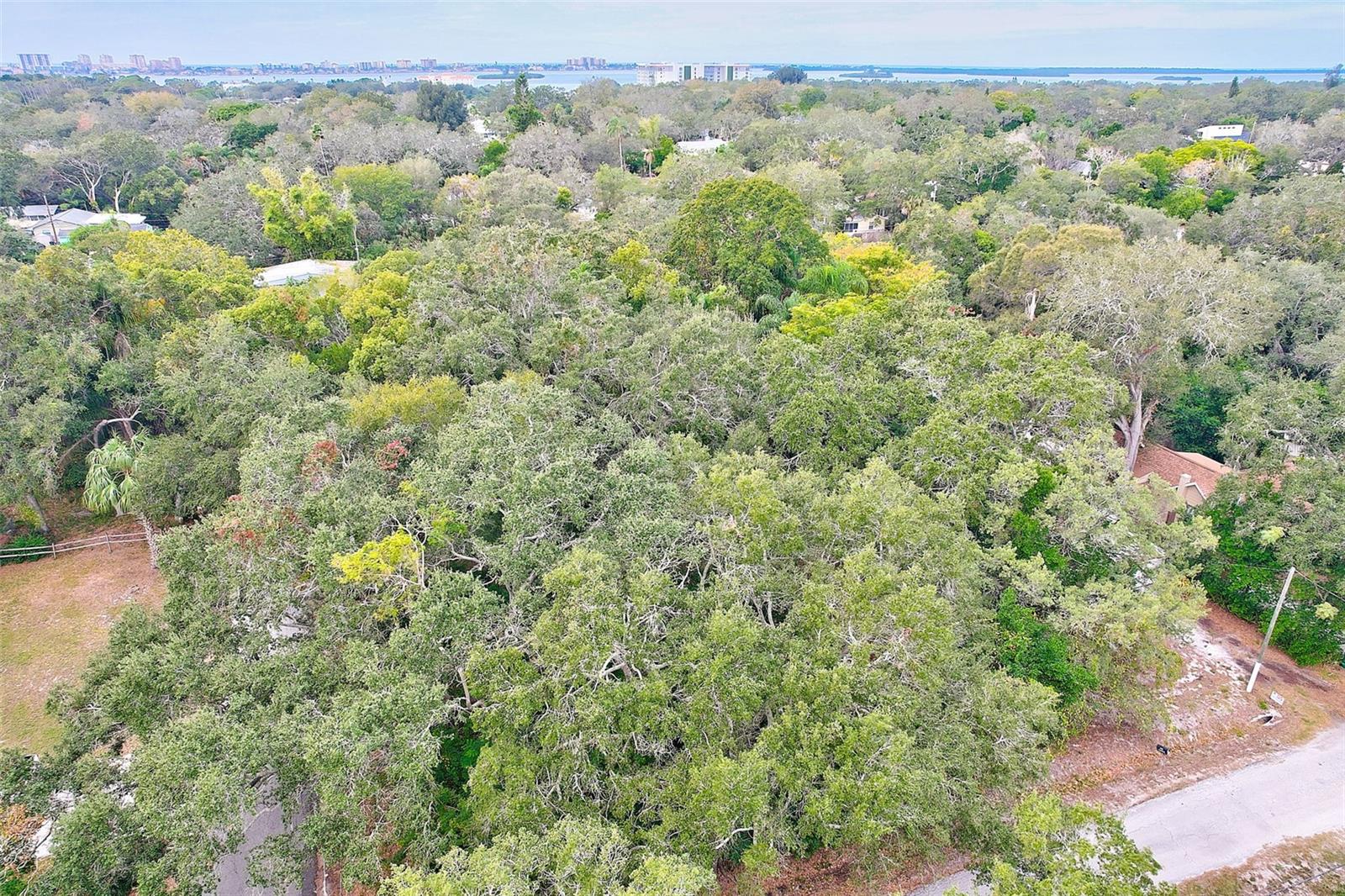 1838 SYLVAN DR, CLEARWATER, FL, 33755