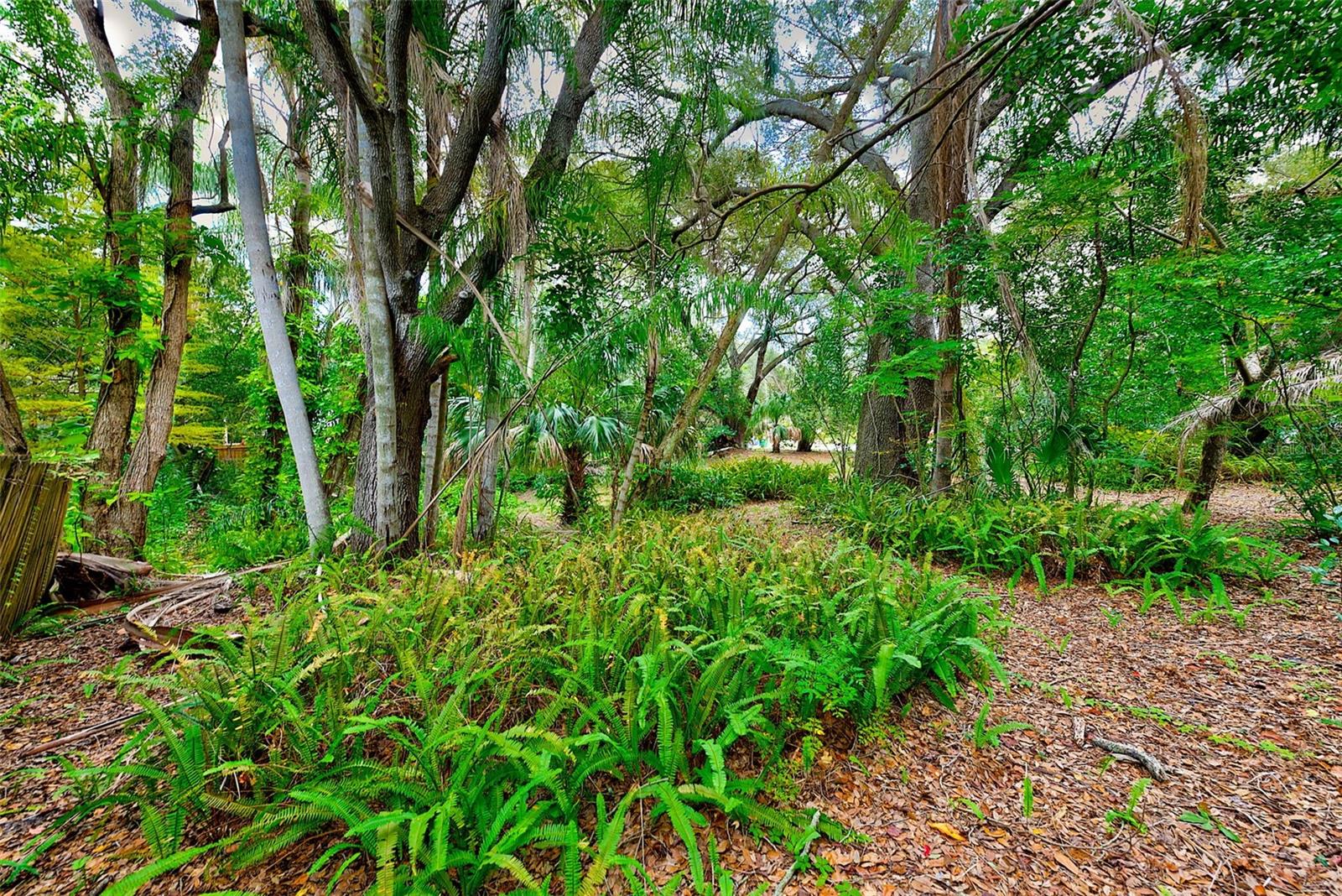 1838 SYLVAN DR, CLEARWATER, FL, 33755