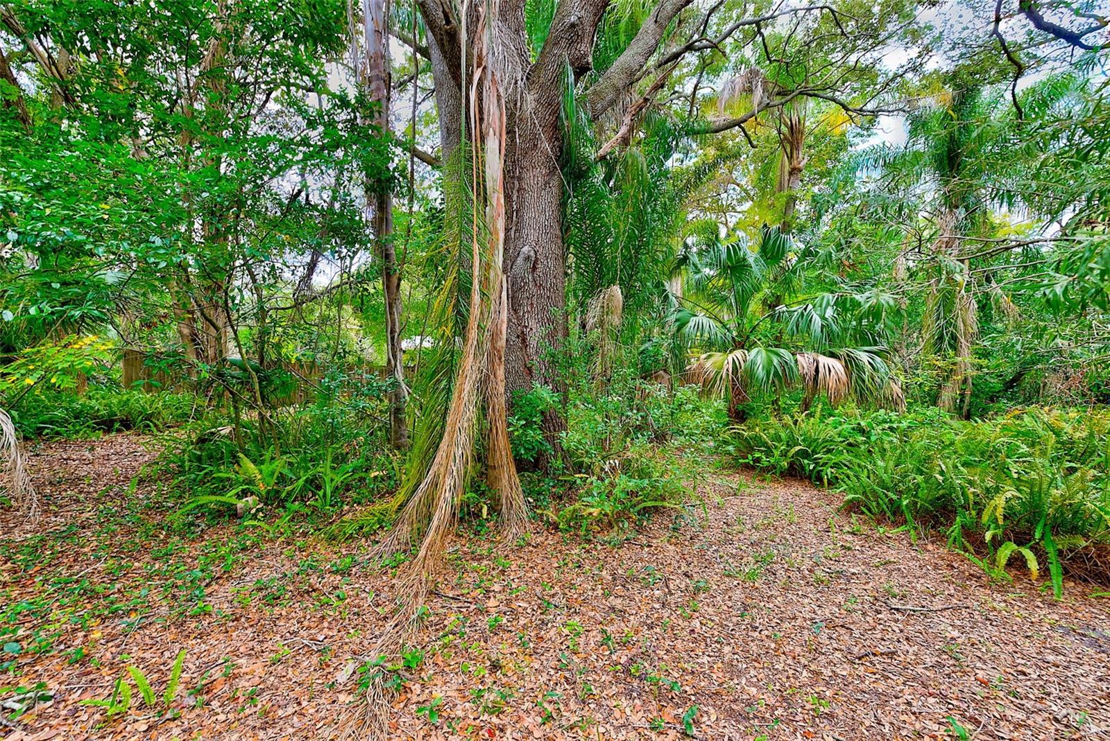 1838 SYLVAN DR, CLEARWATER, FL, 33755