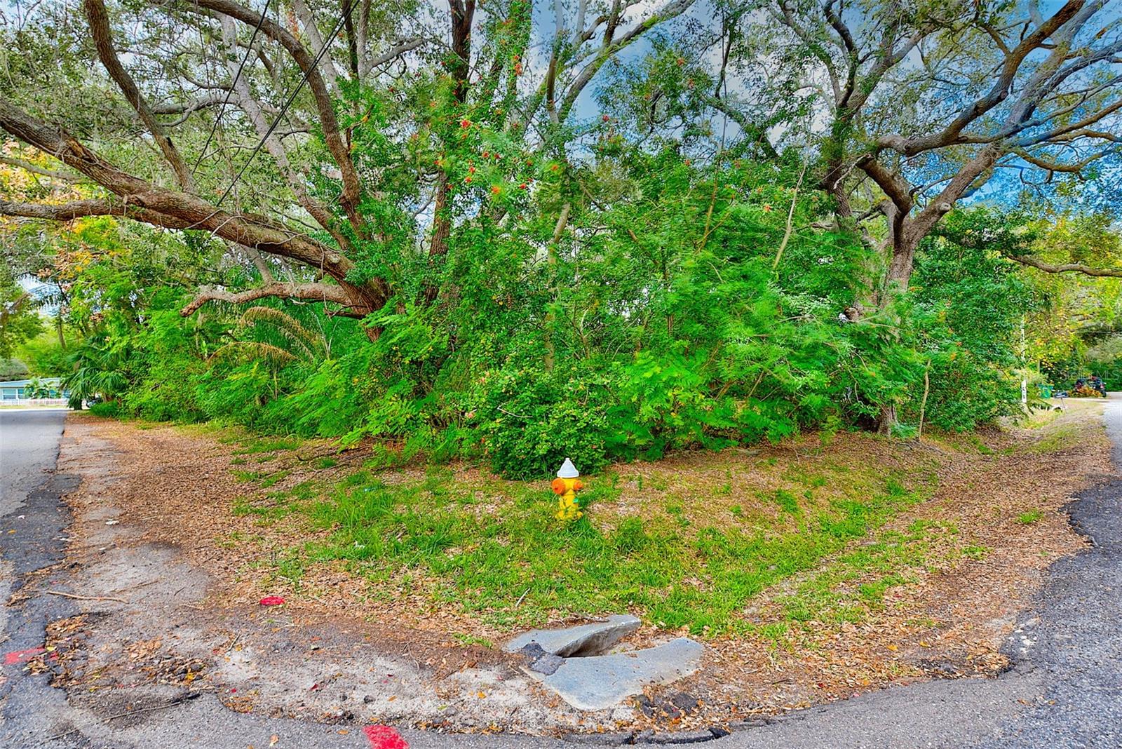 1838 SYLVAN DR, CLEARWATER, FL, 33755