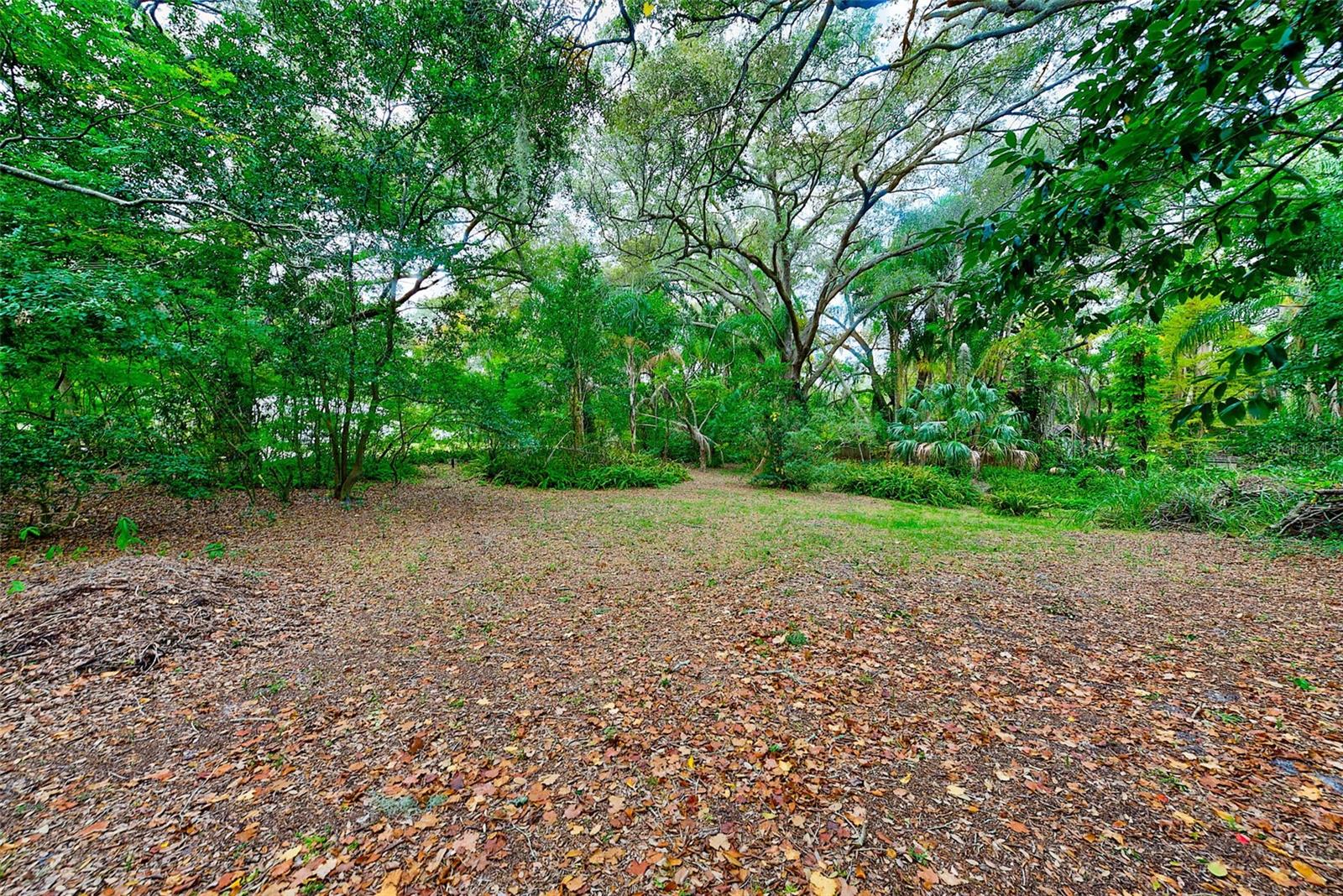 1838 SYLVAN DR, CLEARWATER, FL, 33755