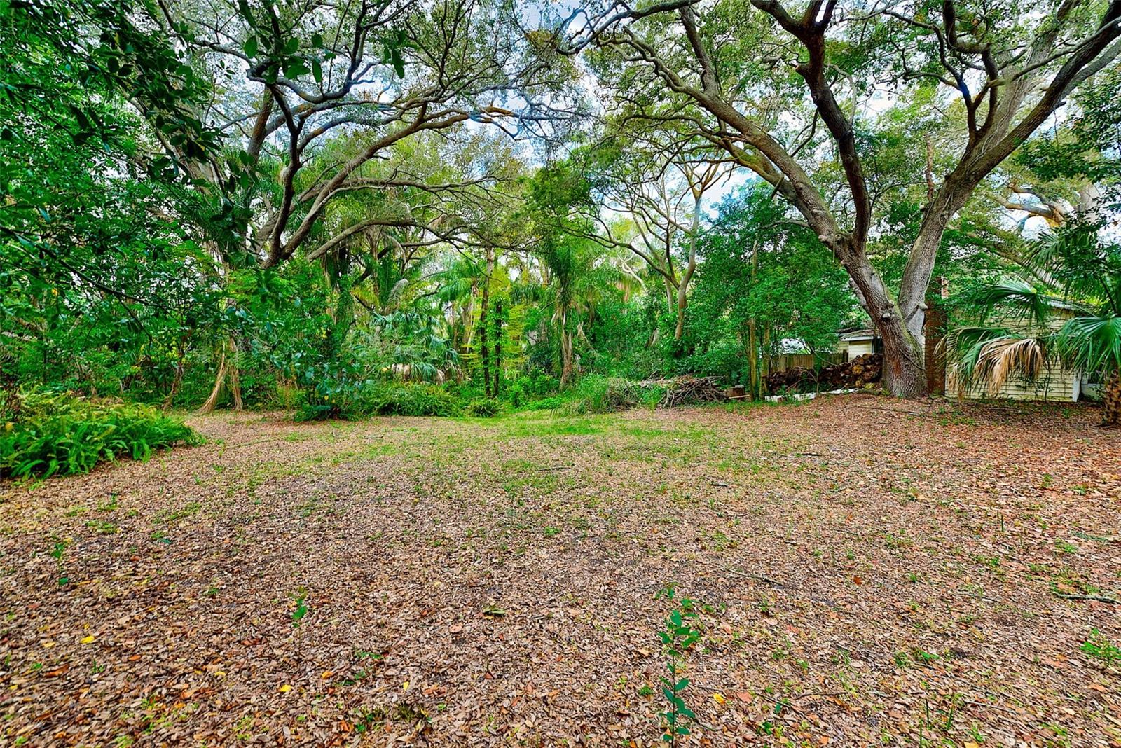 1838 SYLVAN DR, CLEARWATER, FL, 33755