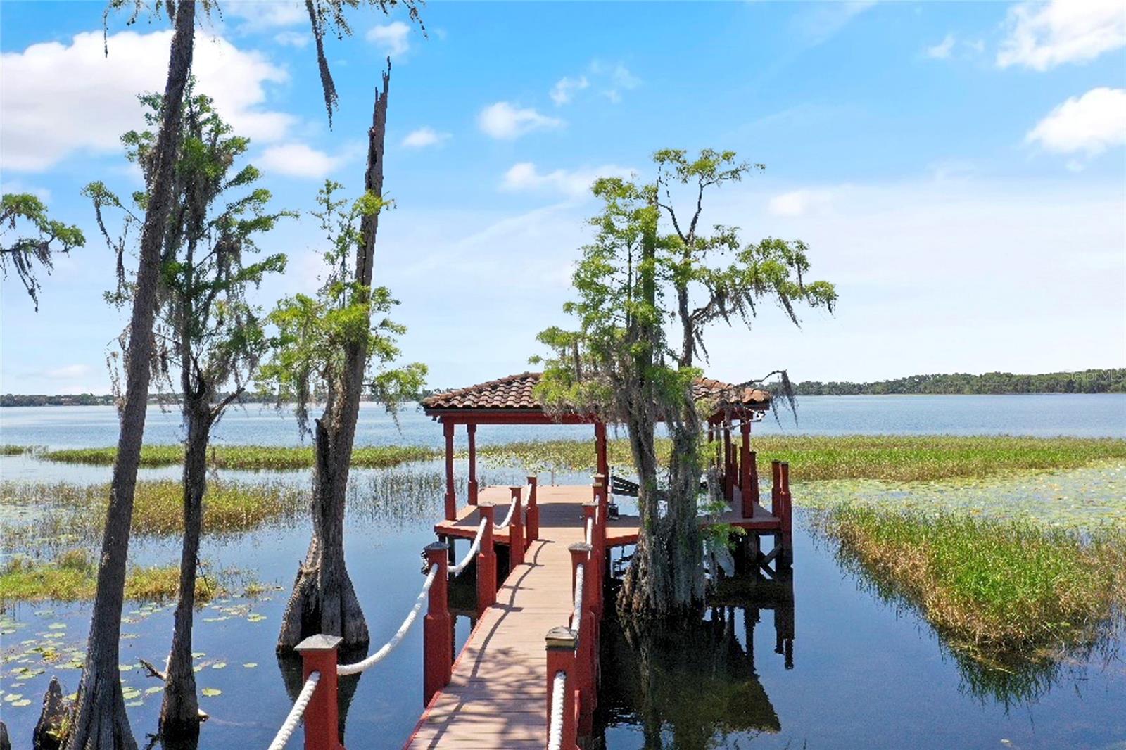 9139 TIBET POINTE CIR, WINDERMERE, FL, 34786