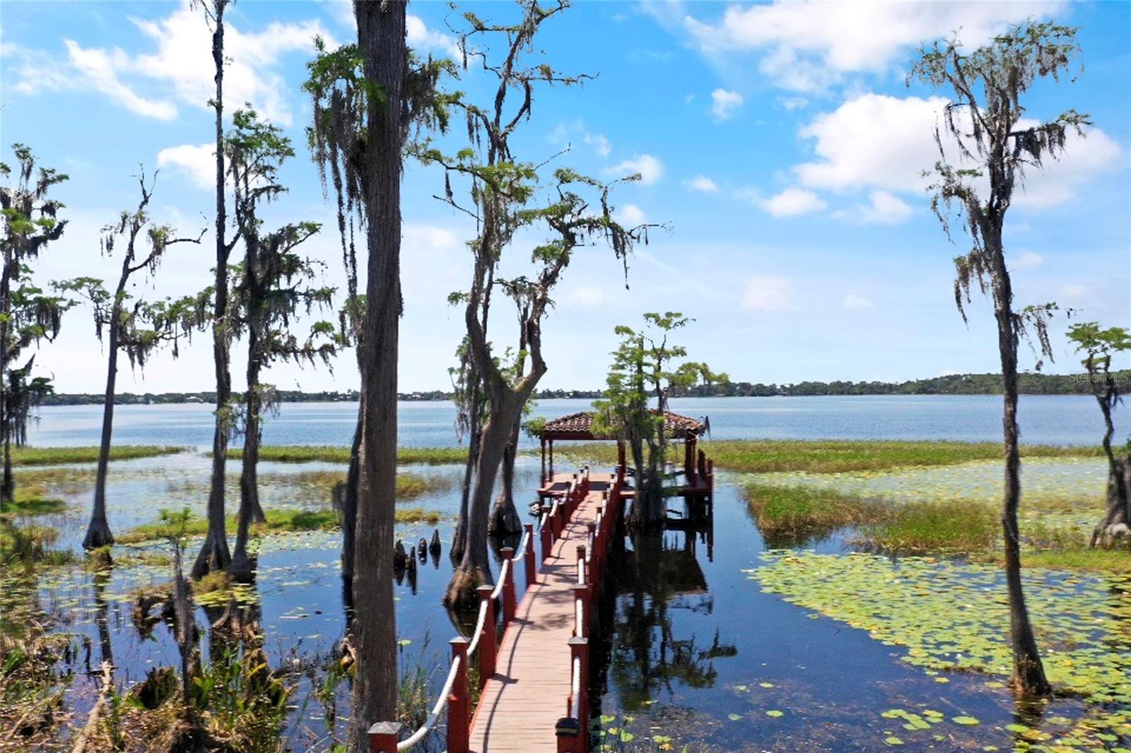 9139 TIBET POINTE CIR, WINDERMERE, FL, 34786