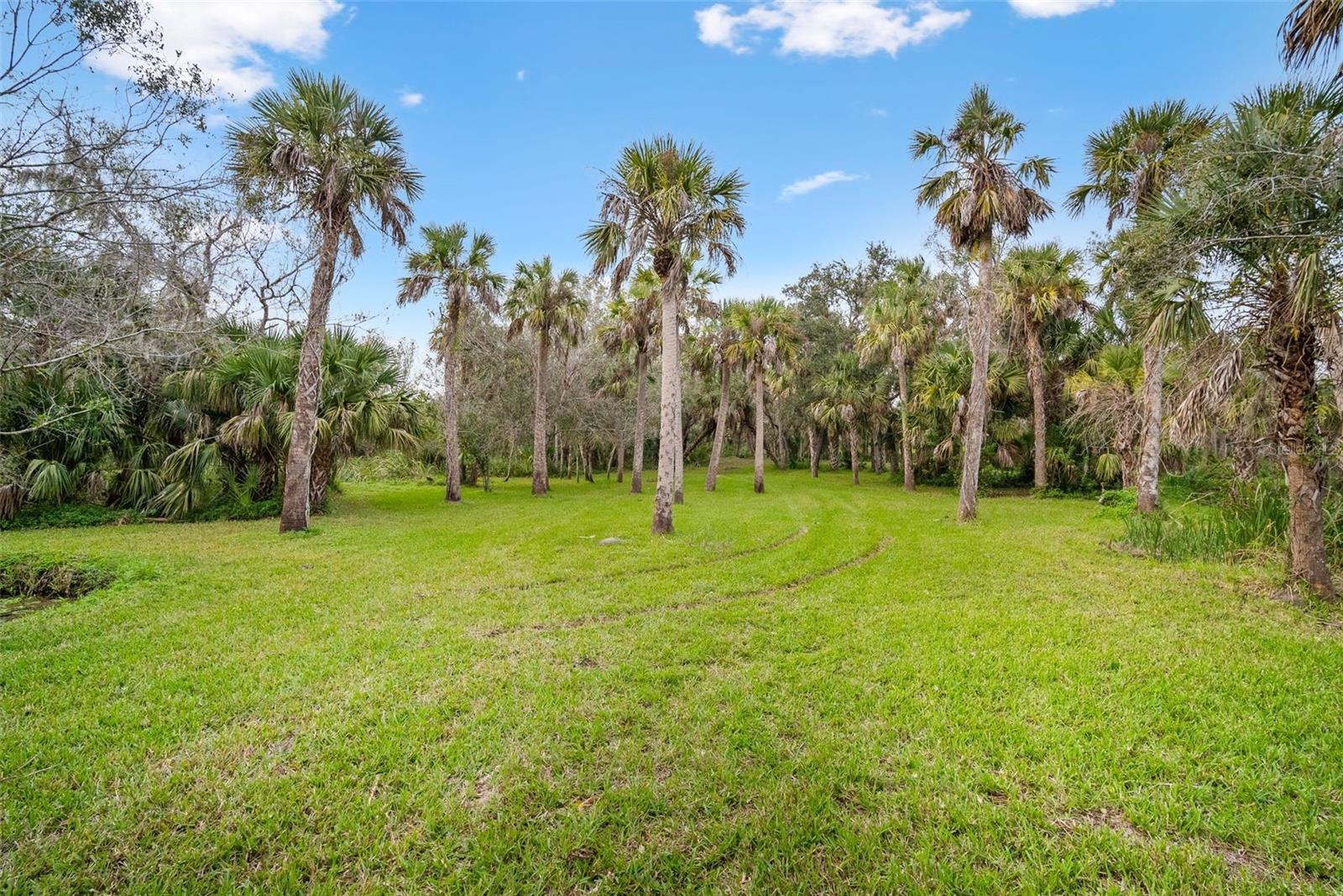 32971 SERENE DR, PUNTA GORDA, FL, 33982