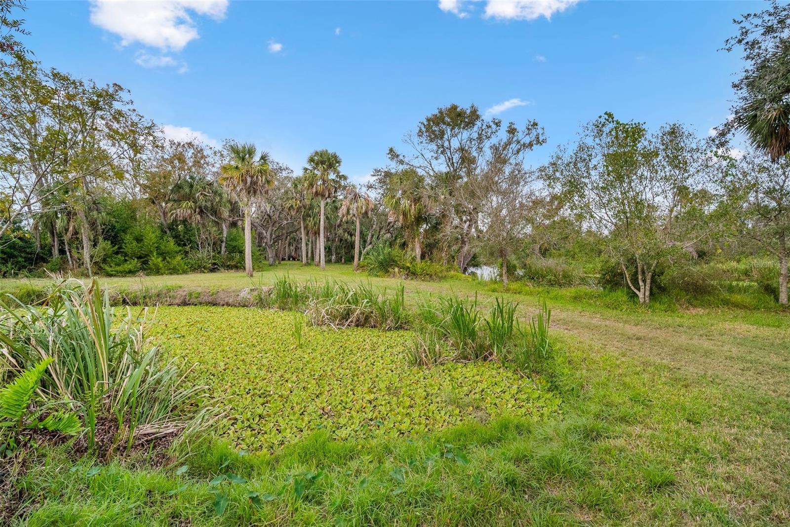 32971 SERENE DR, PUNTA GORDA, FL, 33982