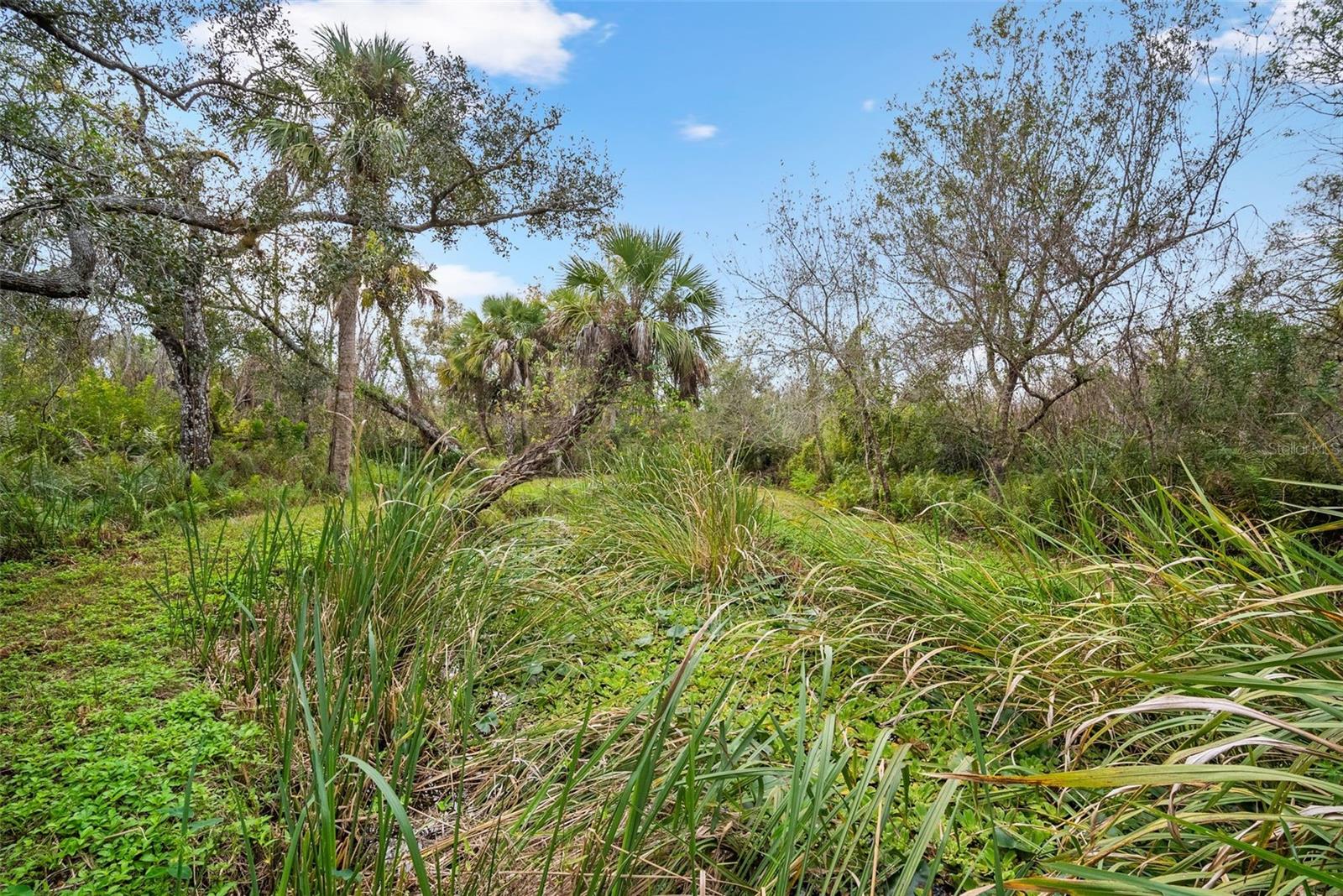32971 SERENE DR, PUNTA GORDA, FL, 33982