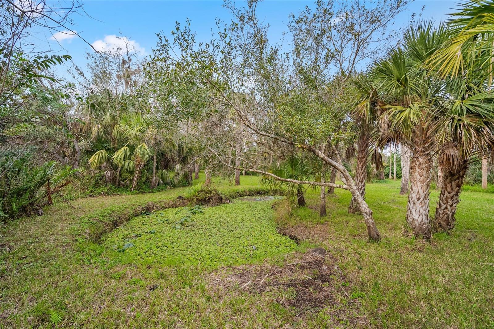32971 SERENE DR, PUNTA GORDA, FL, 33982