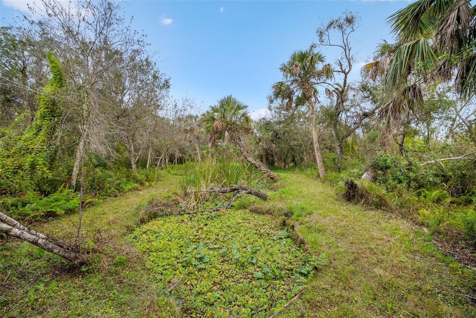 32971 SERENE DR, PUNTA GORDA, FL, 33982