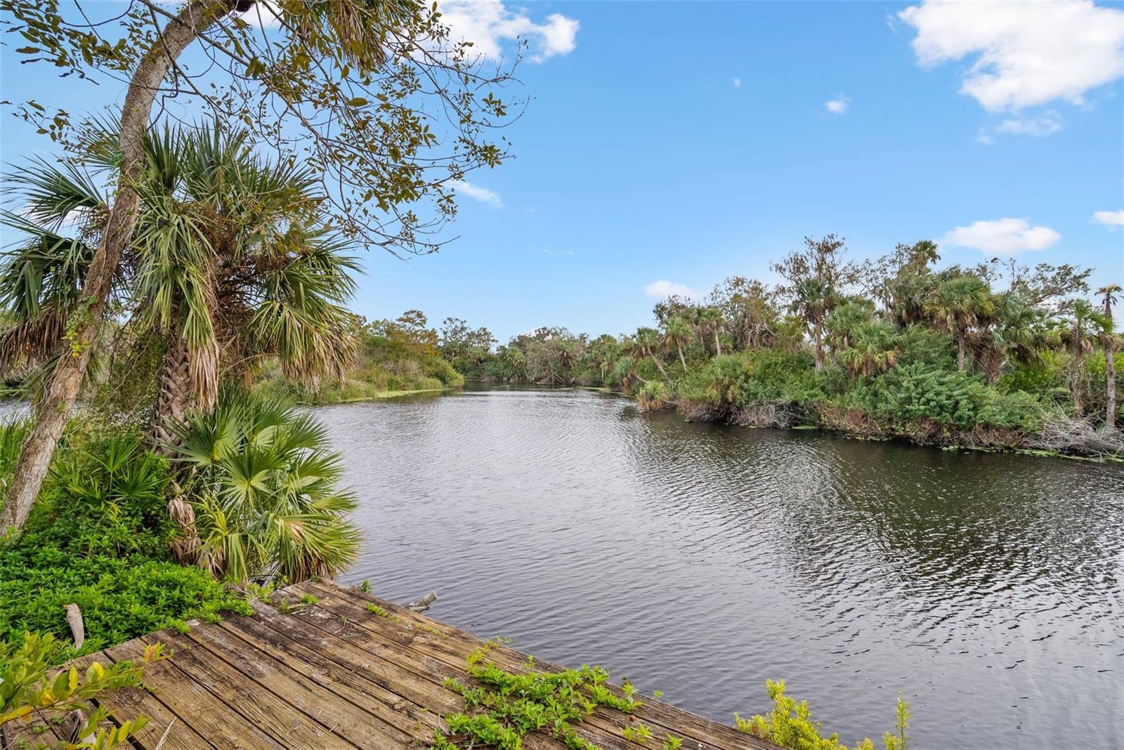 32971 SERENE DR, PUNTA GORDA, FL, 33982