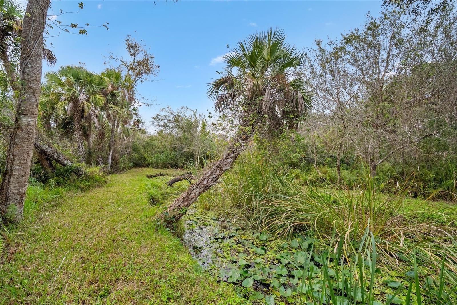 32971 SERENE DR, PUNTA GORDA, FL, 33982