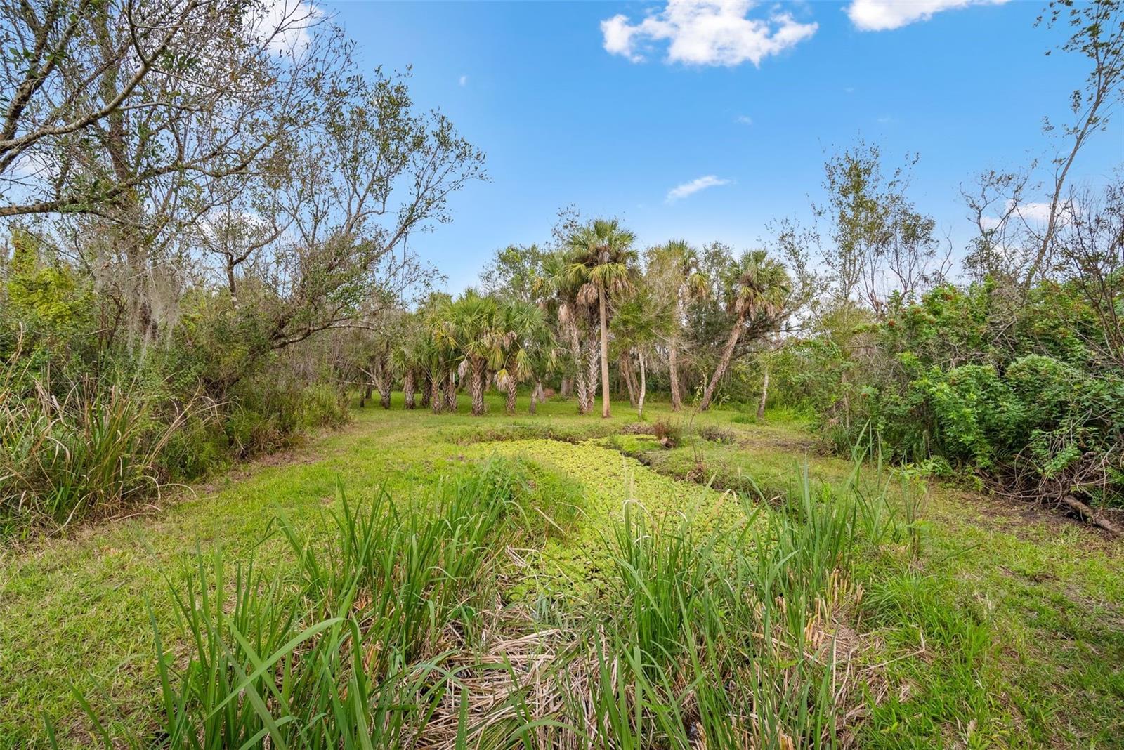 32971 SERENE DR, PUNTA GORDA, FL, 33982