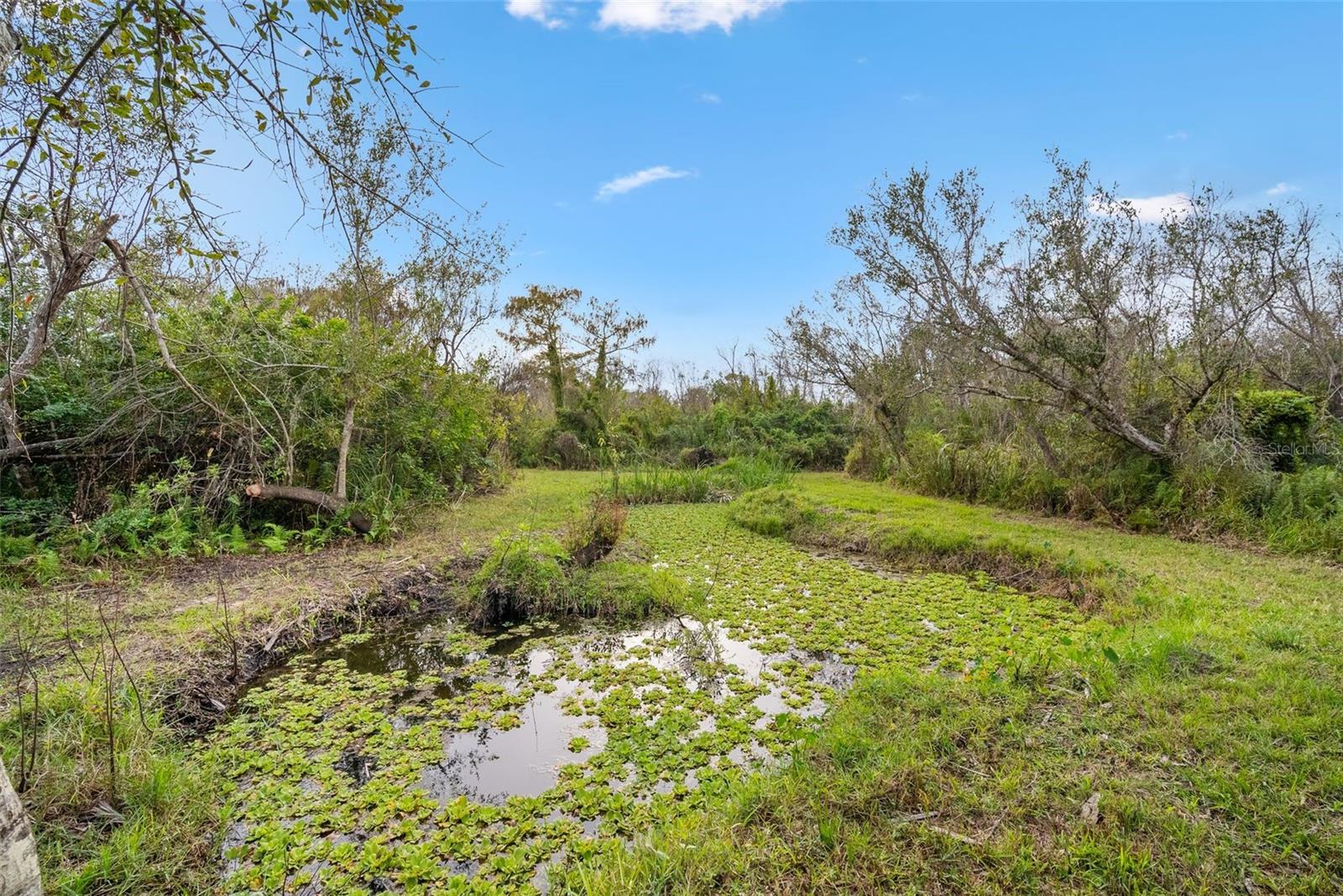 32971 SERENE DR, PUNTA GORDA, FL, 33982