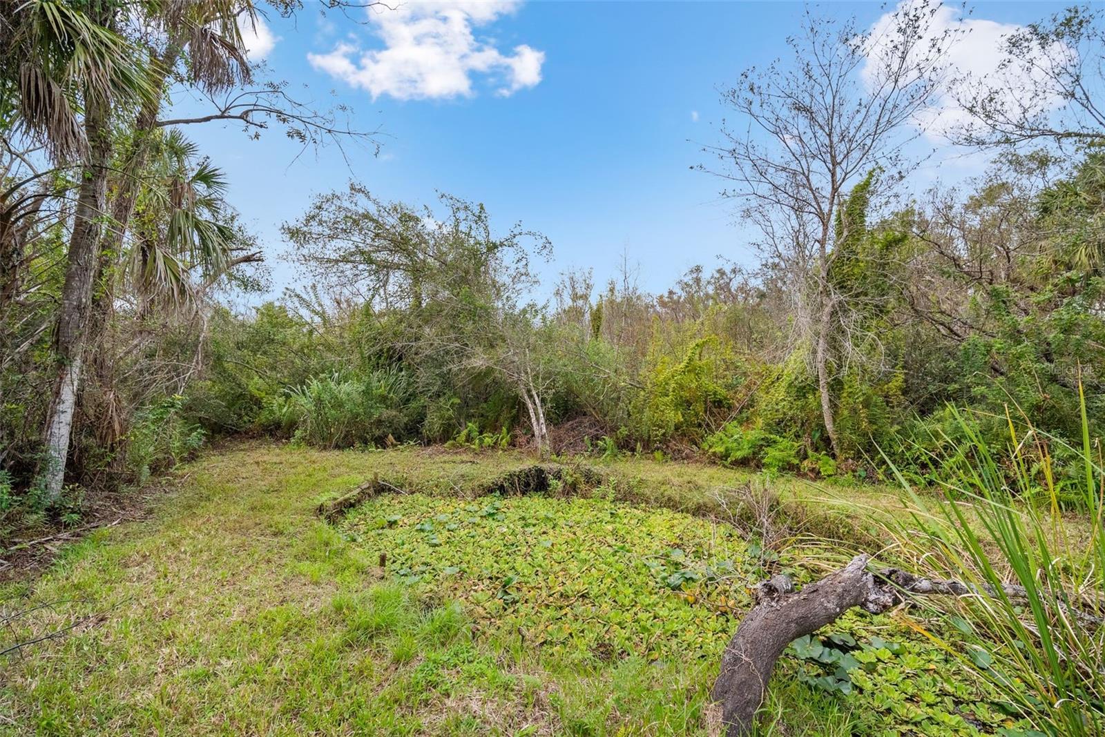 32971 SERENE DR, PUNTA GORDA, FL, 33982