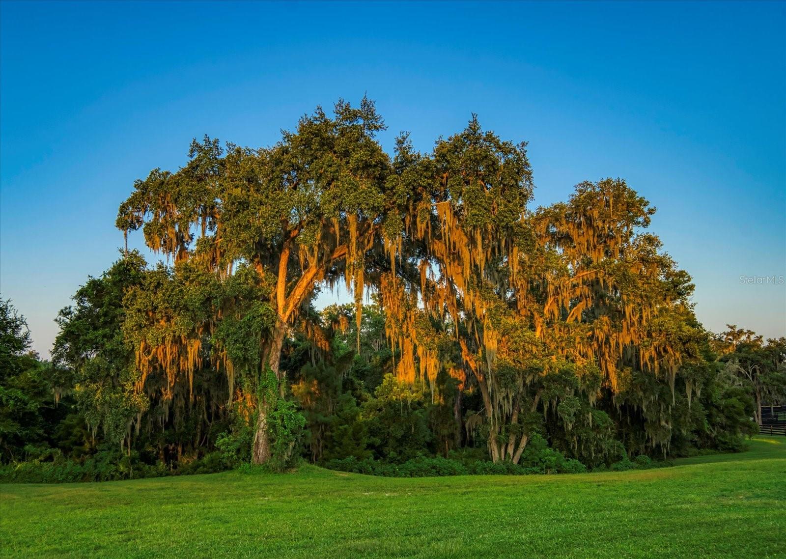 7780 N WHIPPOORWILL TERRACE, HERNANDO, FL, 34442