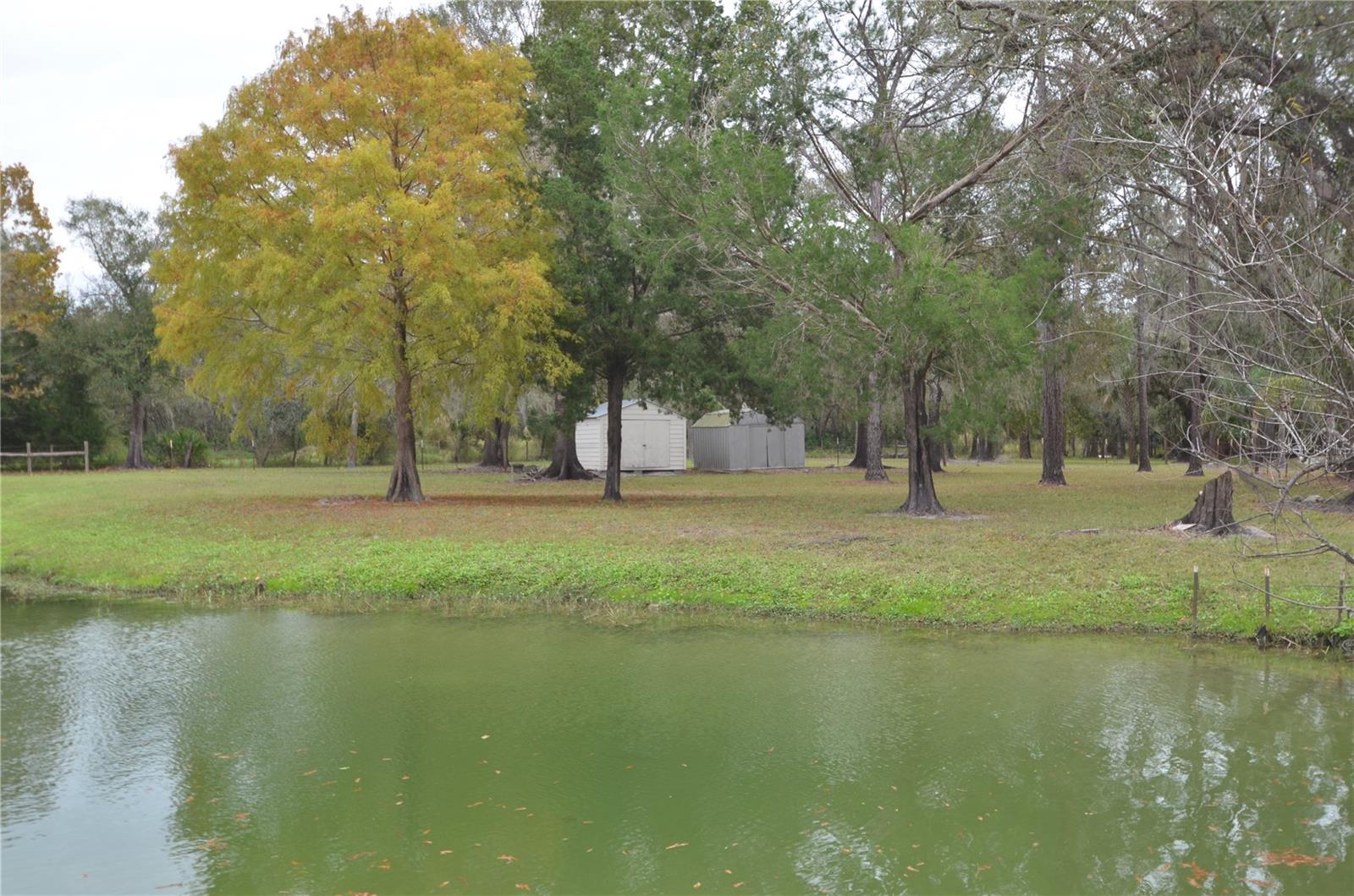 6645 NE MASTERS AVE, ARCADIA, FL, 34266