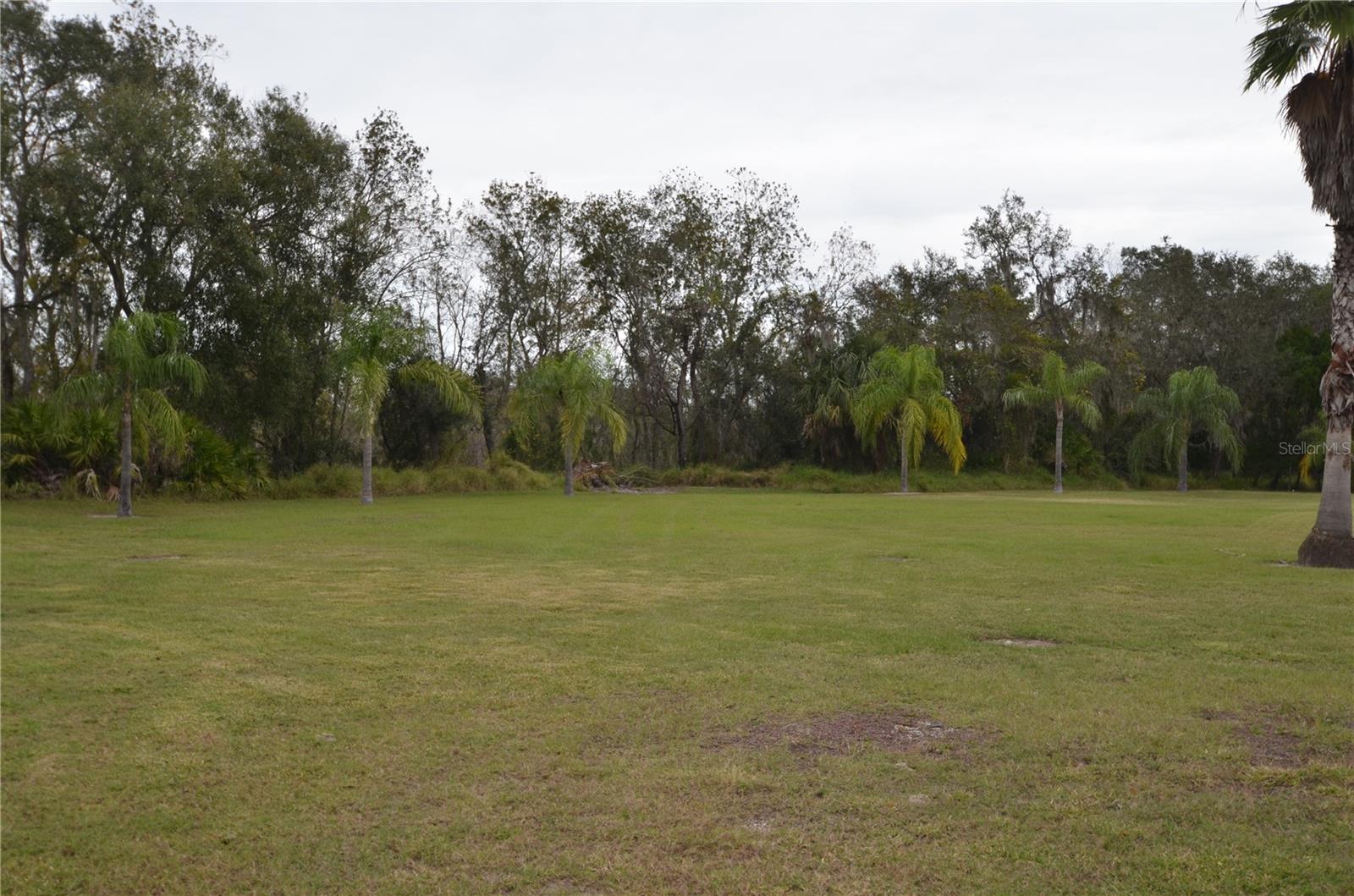 6645 NE MASTERS AVE, ARCADIA, FL, 34266