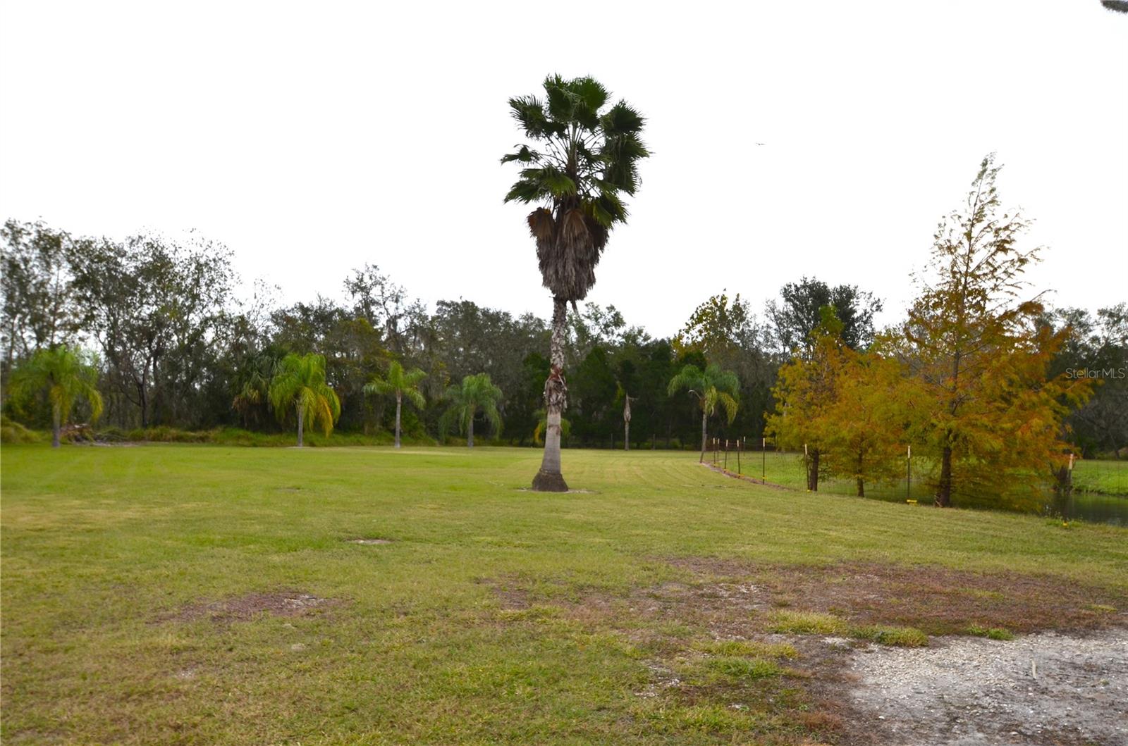 6645 NE MASTERS AVE, ARCADIA, FL, 34266