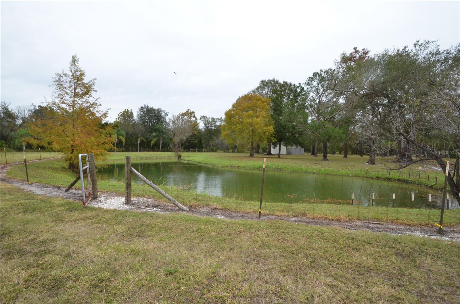6645 NE MASTERS AVE, ARCADIA, FL, 34266