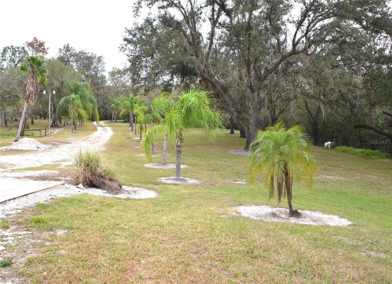 6645 NE MASTERS AVE, ARCADIA, FL, 34266