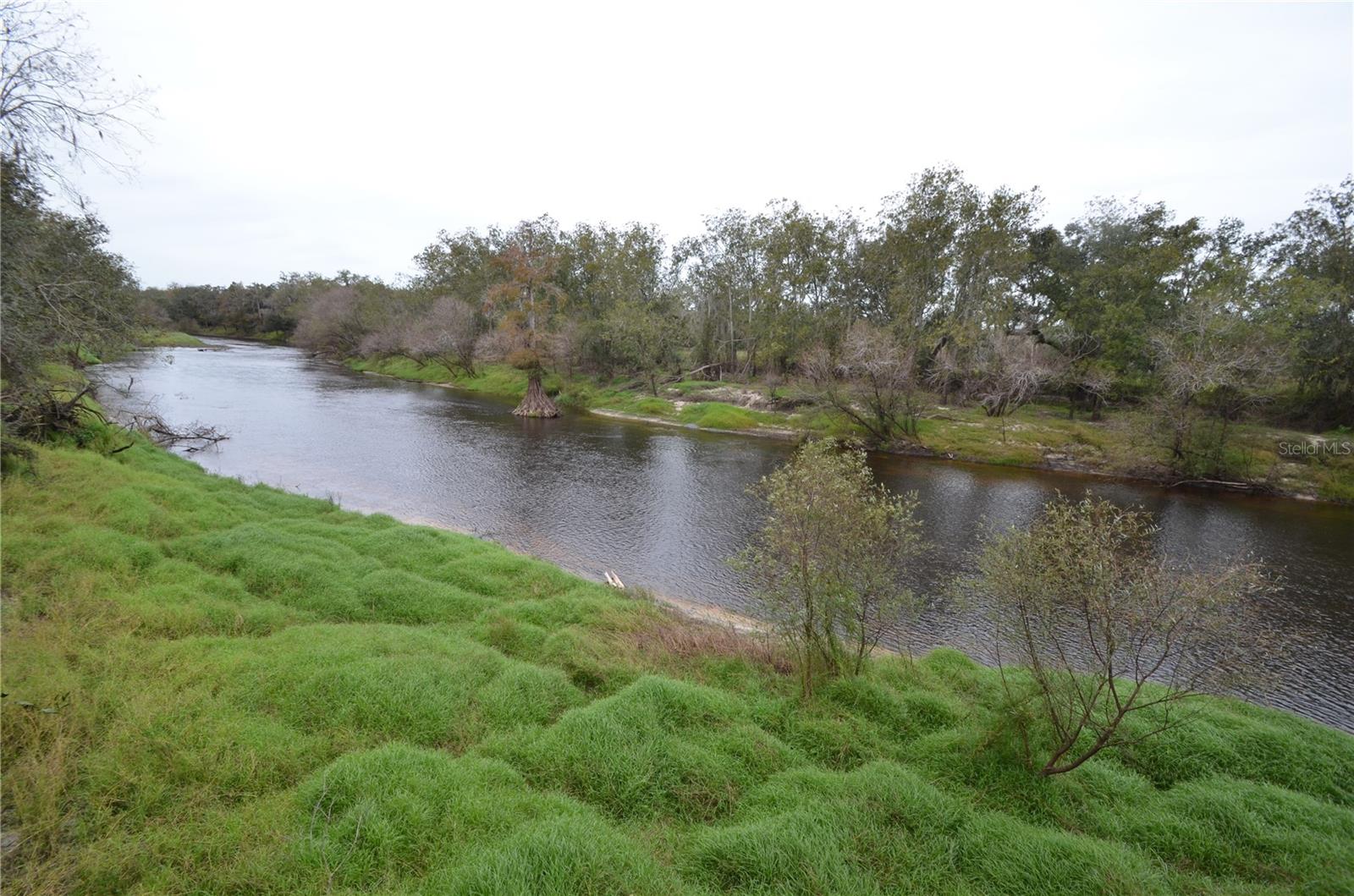 6645 NE MASTERS AVE, ARCADIA, FL, 34266