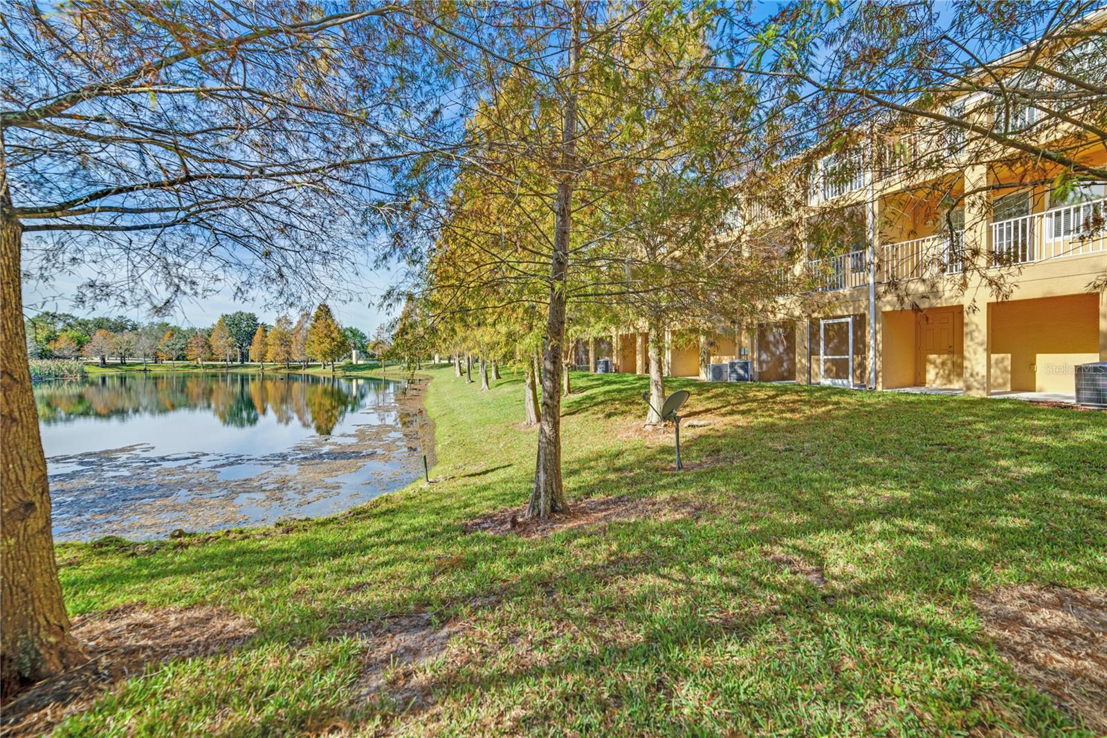8910 WHITE SAGE LOOP, LAKEWOOD RANCH, FL, 34202