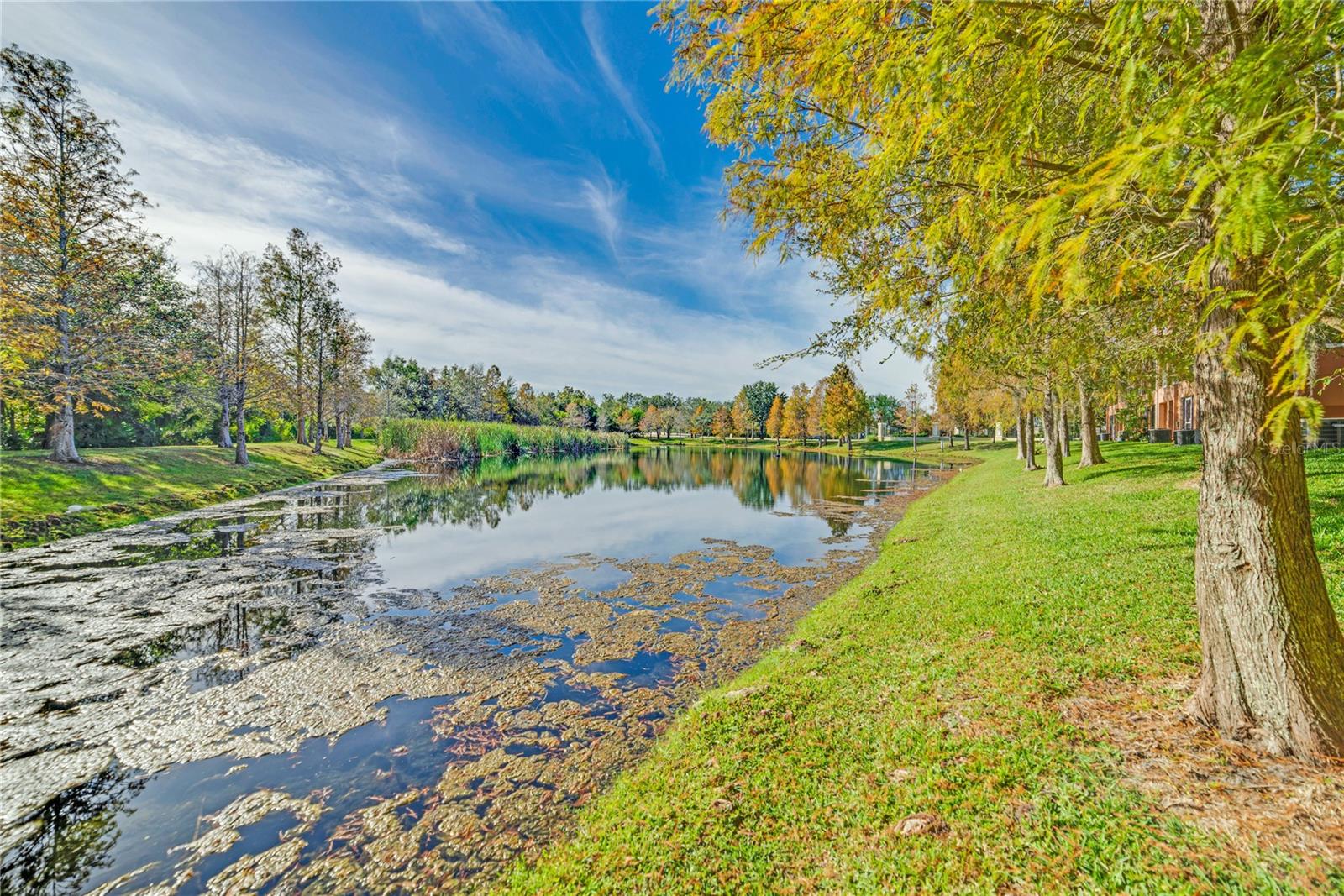 8910 WHITE SAGE LOOP, LAKEWOOD RANCH, FL, 34202