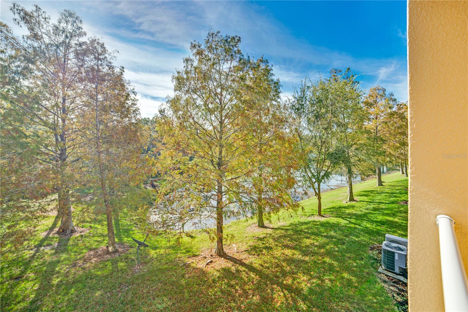 8910 WHITE SAGE LOOP, LAKEWOOD RANCH, FL, 34202