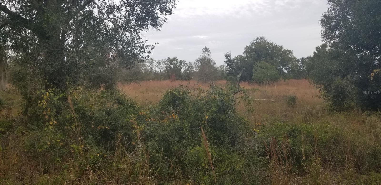 1775 NE CROSS AVE, ARCADIA, FL, 34266