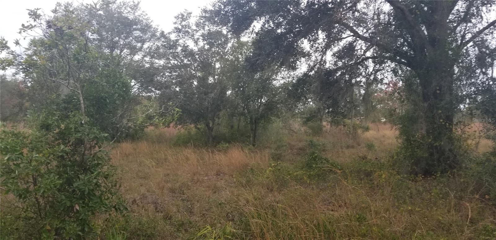 1775 NE CROSS AVE, ARCADIA, FL, 34266