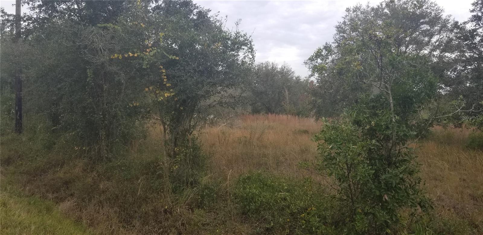 1775 NE CROSS AVE, ARCADIA, FL, 34266