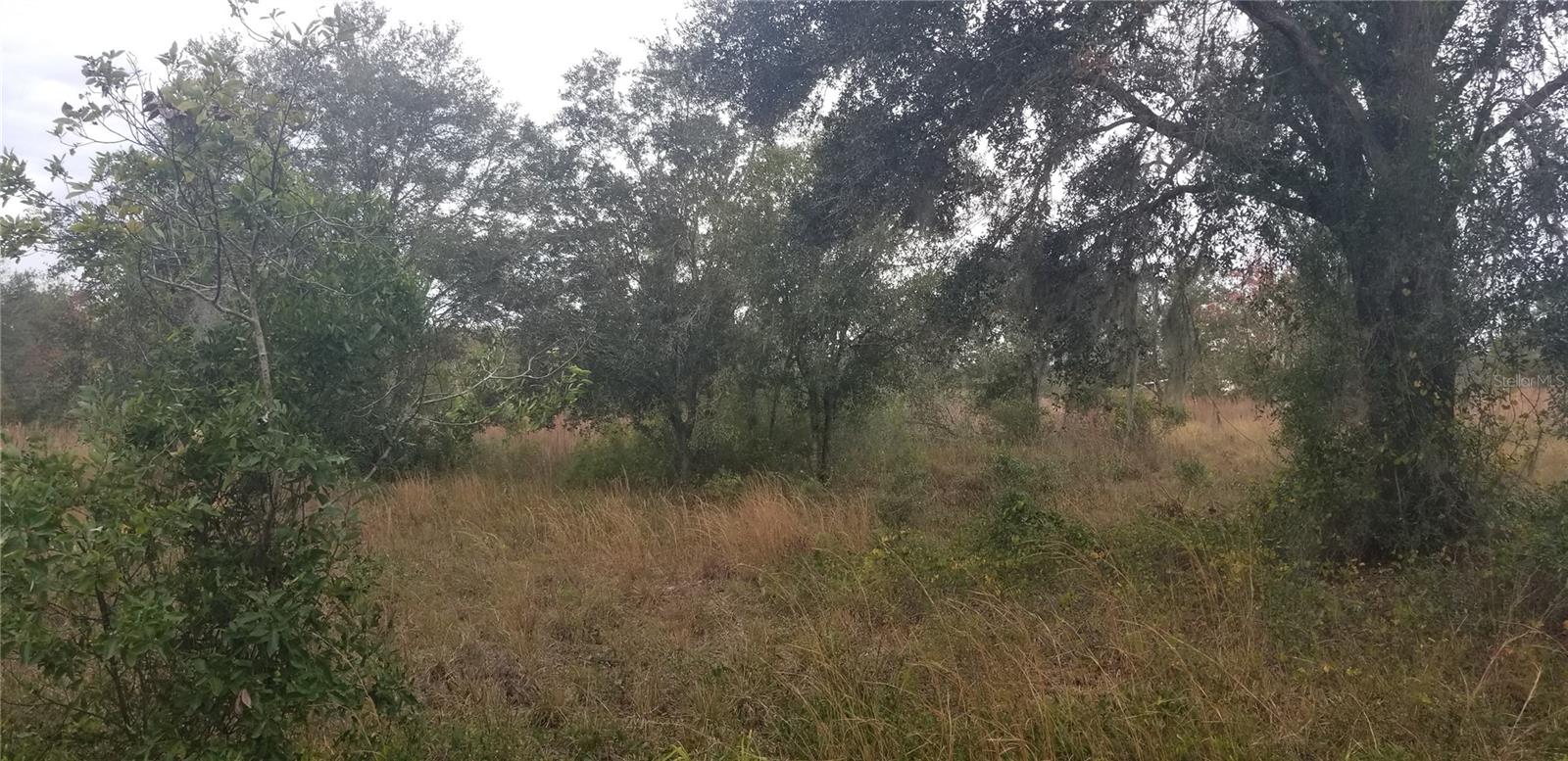 1775 NE CROSS AVE, ARCADIA, FL, 34266