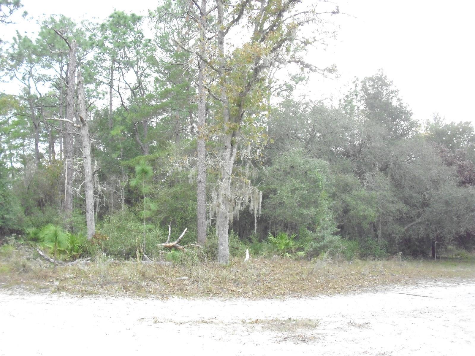 0 SW 156 PL, DUNNELLON, FL, 34432