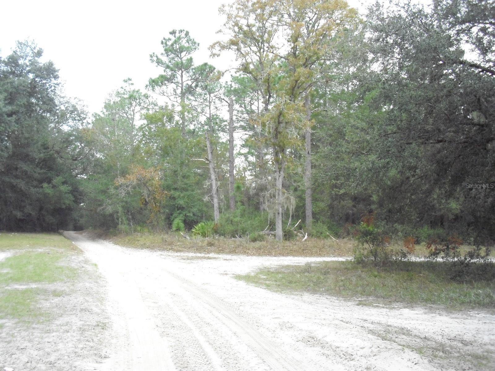 0 SW 156 PL, DUNNELLON, FL, 34432