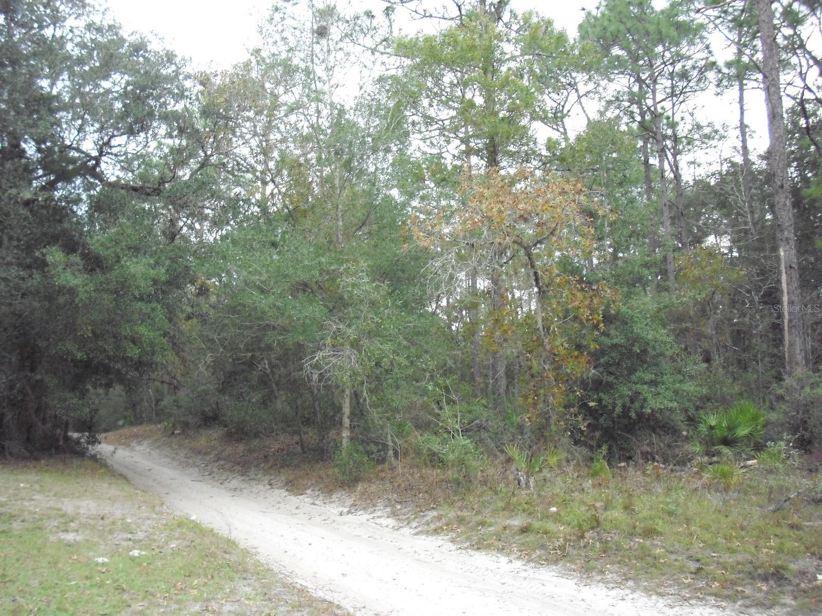 0 SW 156 PL, DUNNELLON, FL, 34432