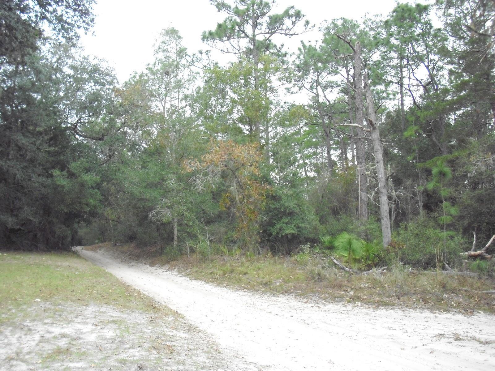 0 SW 156 PL, DUNNELLON, FL, 34432