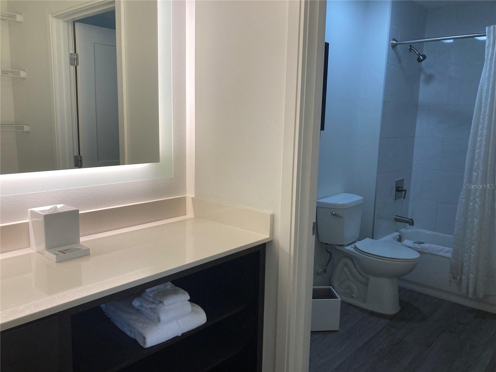 14501 GROVE RESORT AVE #3219, WINTER GARDEN, FL, 34787