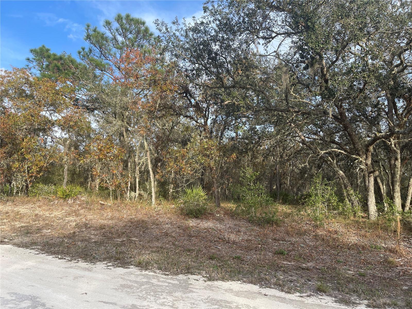8208 RENOVA DR, WEBSTER, FL, 33597