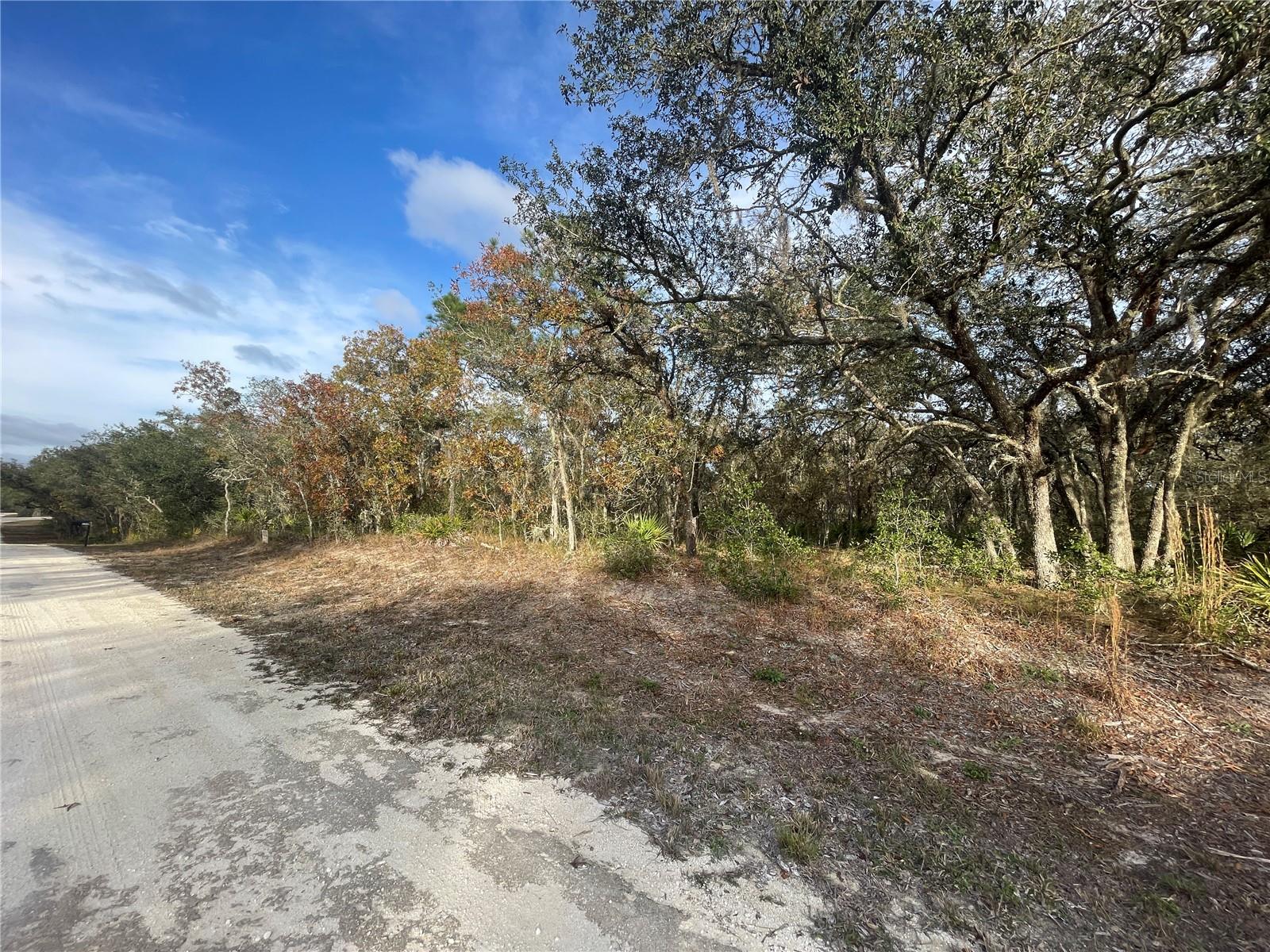 8208 RENOVA DR, WEBSTER, FL, 33597