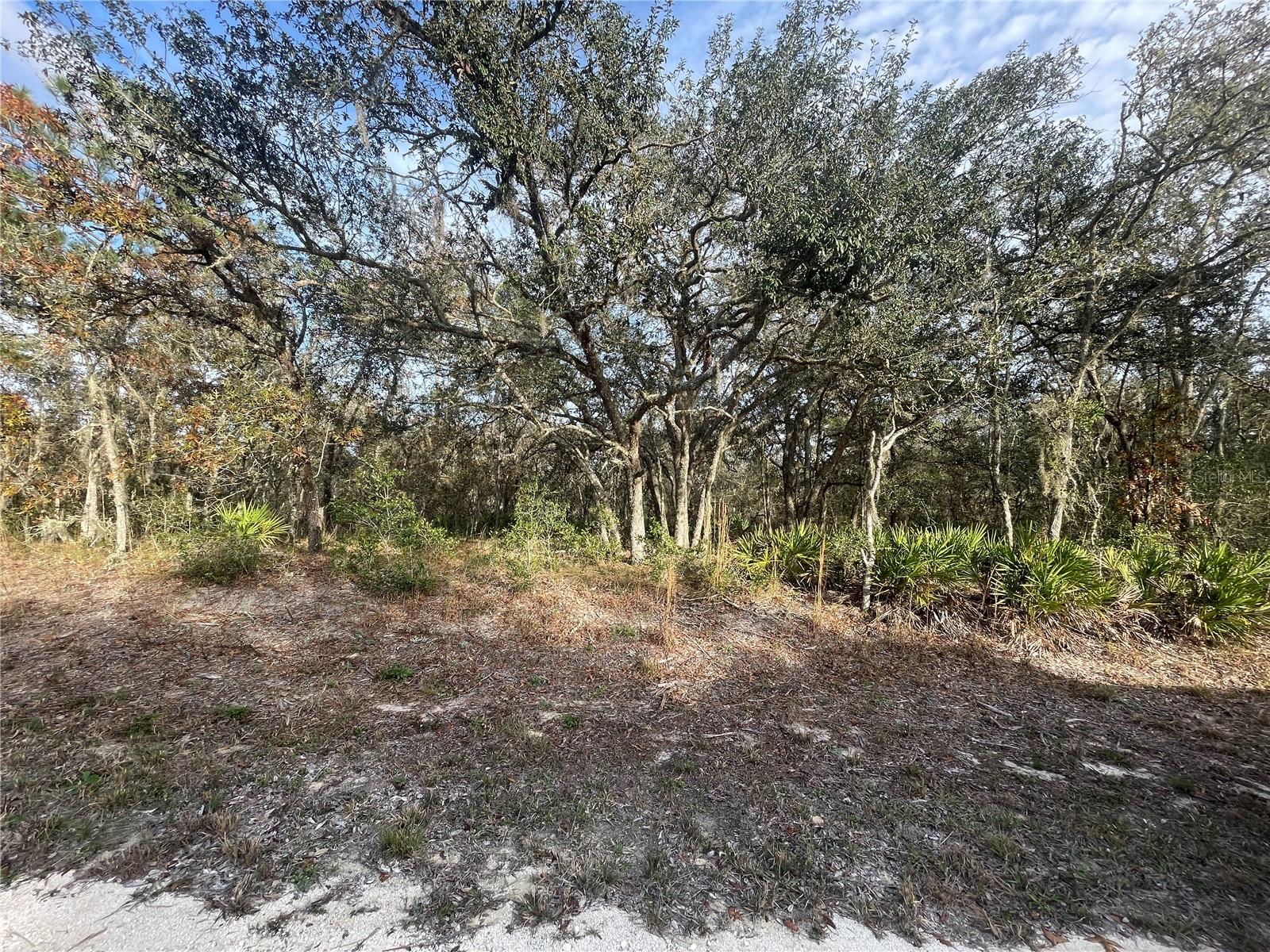 8208 RENOVA DR, WEBSTER, FL, 33597