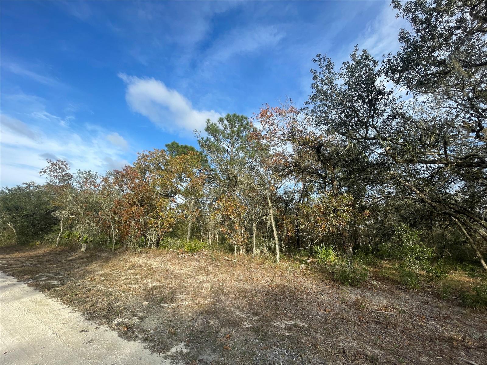 8208 RENOVA DR, WEBSTER, FL, 33597