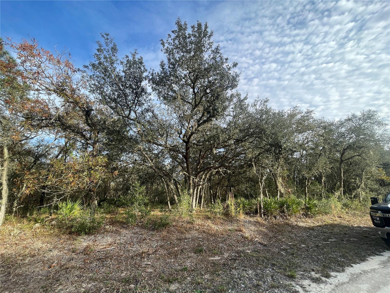 8208 RENOVA DR, WEBSTER, FL, 33597
