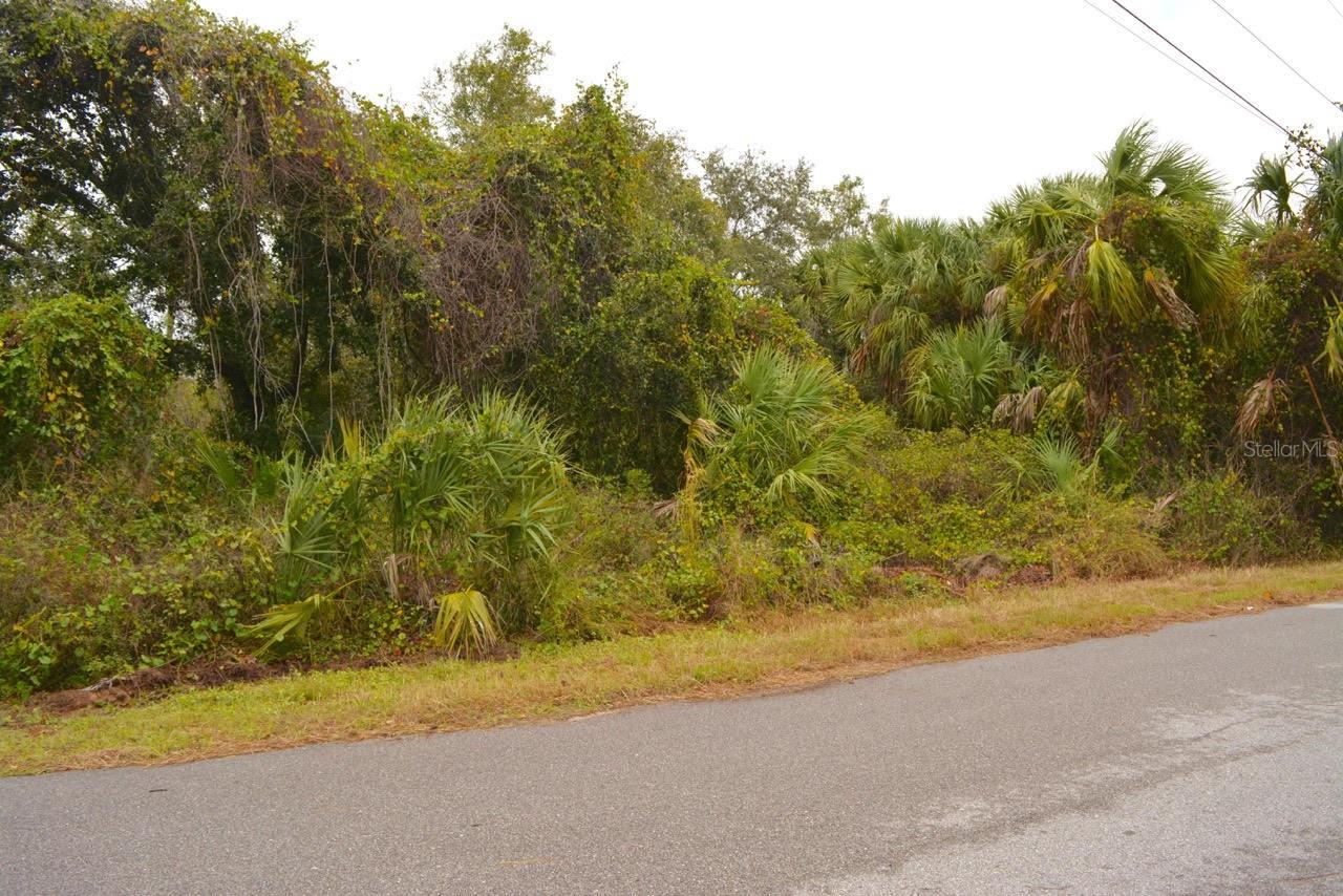 TBD COUNTESS AVE, NORTH PORT, FL, 34288