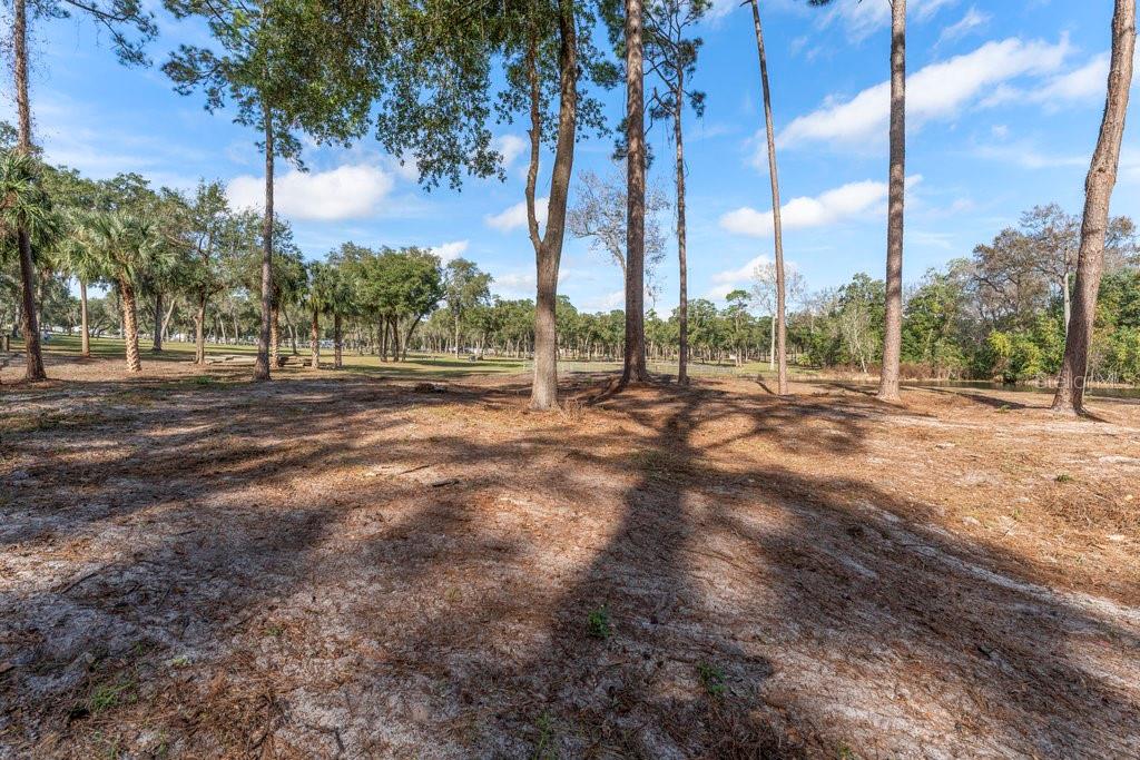0000 FISHERMANS RD, PAISLEY, FL, 32767