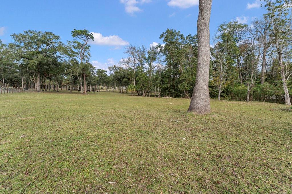0000 FISHERMANS RD, PAISLEY, FL, 32767