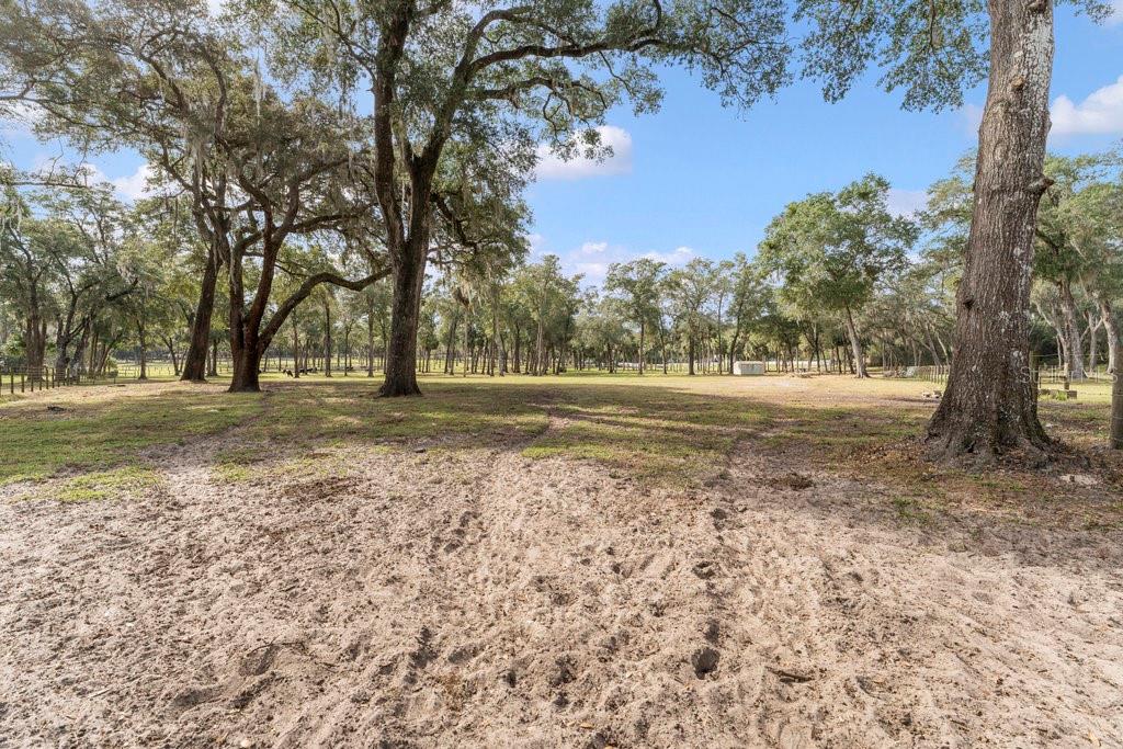 0000 FISHERMANS RD, PAISLEY, FL, 32767