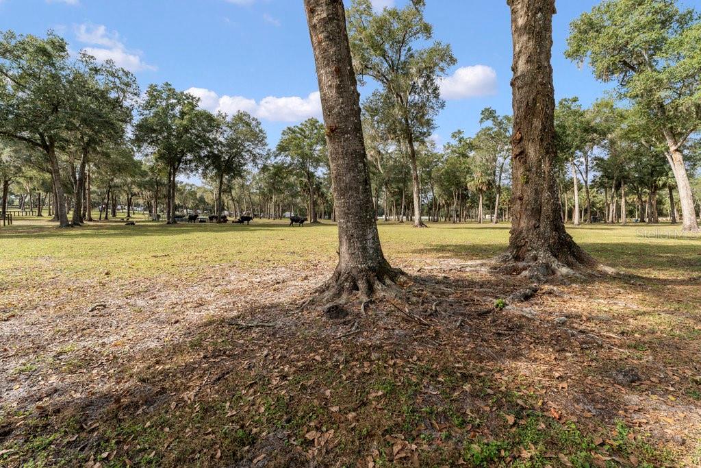 0000 FISHERMANS RD, PAISLEY, FL, 32767