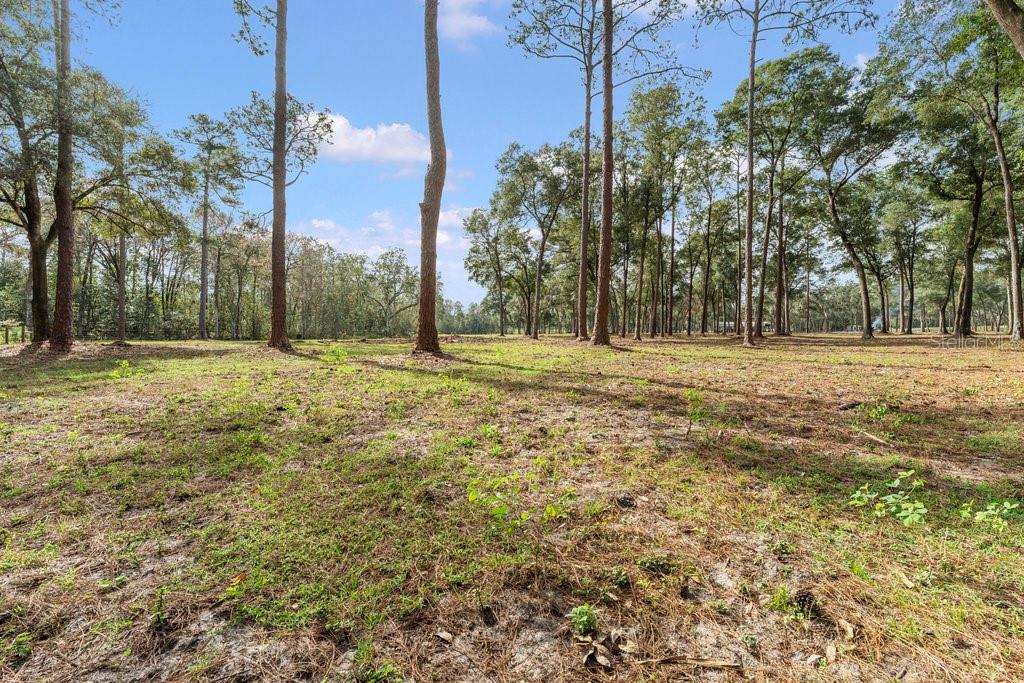 0000 FISHERMANS RD, PAISLEY, FL, 32767
