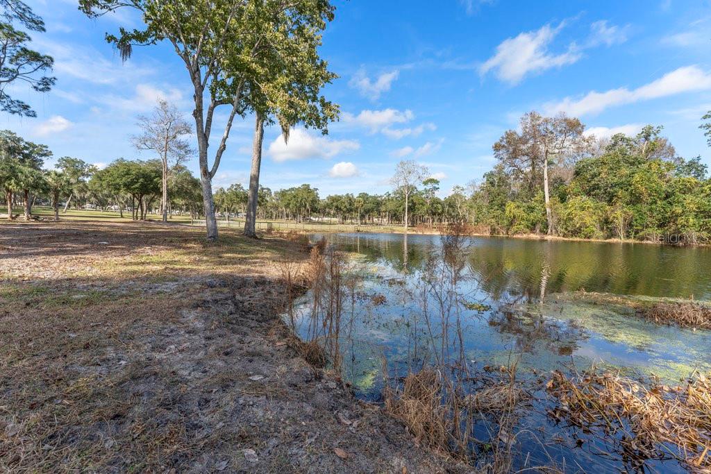 0000 FISHERMANS RD, PAISLEY, FL, 32767