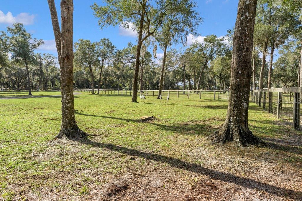 0000 FISHERMANS RD, PAISLEY, FL, 32767